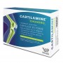 Комплекс для суставов Cartilamine CHONDRO EFFI-SCIENCES 60 таблеток