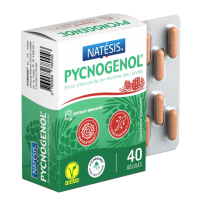 Комплекс для кровообращения Natesis PYCNOGENOL 40 капсул