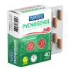 Комплекс для кровообращения Natesis PYCNOGENOL 40 капсул