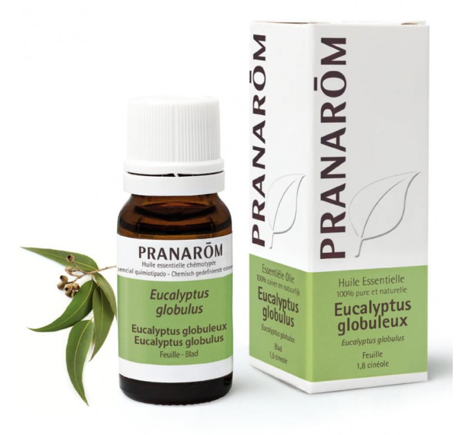 Масло шаровидного эвкалипта Eucalyptus Globuleux de PRANAROM 10 мл