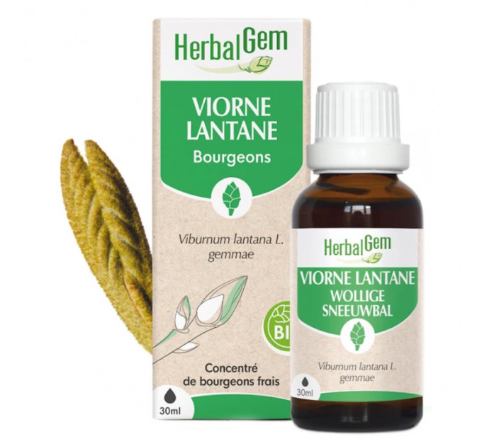 Концентрат почек калины Viorne Gemmo Concentré BIO HERBALGEM 30 мл