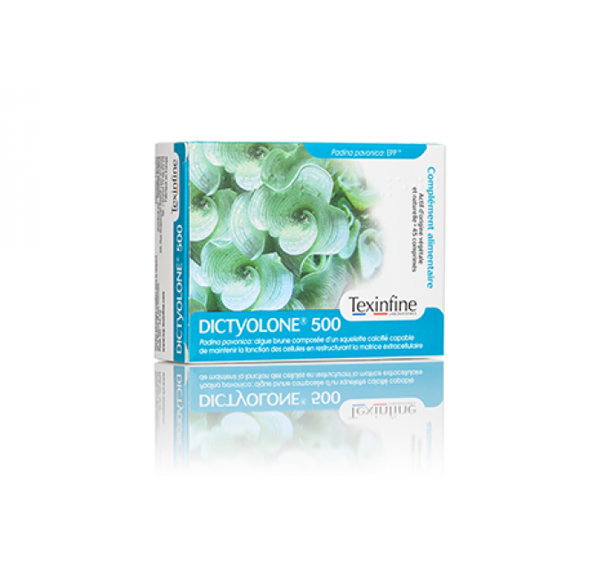 Комплекс для суставов DICTYOLONE® 500 ICP TEXINFINE 45 таблеток