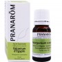 Масло герани Géranium Egypte PRANAROM 10 мл