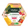 Маточное молочко Gelée Royale Energie+ Apiculte VITAFLOR 20 флаконов 