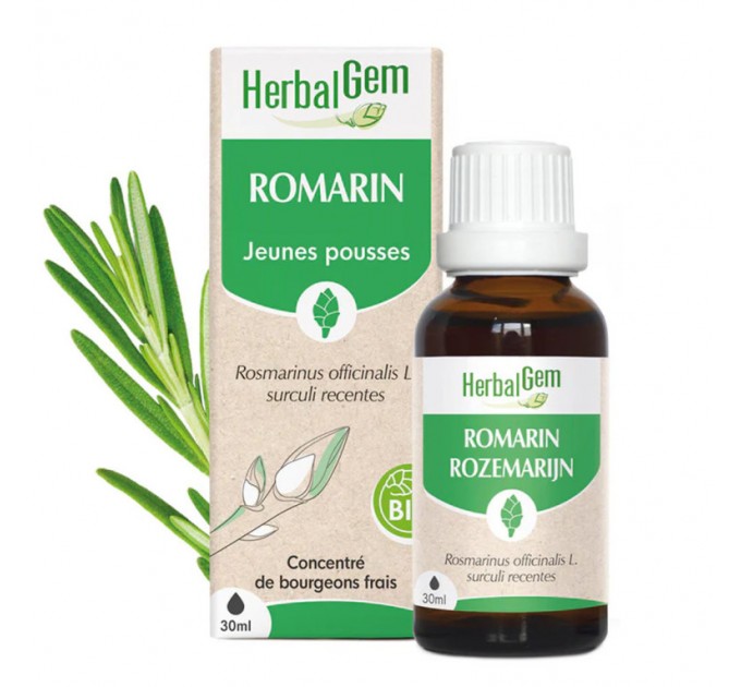 Концентрат розмарина Romarin BIO Gemmo Concentré HERBALGEM 30 мл