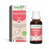 Экстракт почек ясеня Celluligem Gemmo Concentré Ligne HERBALGEM 30 мл