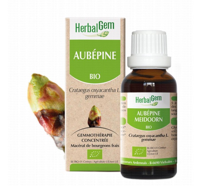 Концентрат боярышника Aubépine Gemmo Bio Concentré HERBALGEM 30 мл
