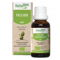Концентрат фигового дерева Figuier Gemmo Concentré HERBALGEM 30 мл