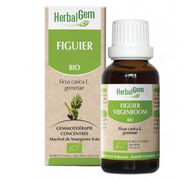 Концентрат фигового дерева Figuier Gemmo Concentré HERBALGEM 30 мл