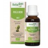 Концентрат фигового дерева Figuier Gemmo Concentré HERBALGEM 30 мл