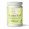 Капсулы для желудка New Nordic Gastro Gel 60 жевательных таблеток