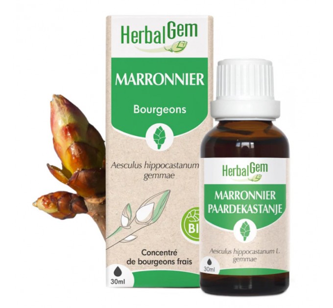 Концентрат каштана для кровообращения Herbalgem Marronnier Gemmo Concentré 30 мл