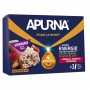 Энергетический батончик с фундуком и малиной Apurna Energy Bar 3 X 4 г