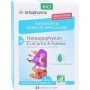 Капсулы подвижность суставов Arkopharma Arkogélules Complex Flexibilité et Mobilité Articulaire 40 капсул