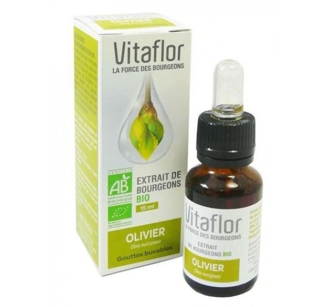 Vitaflor органический экстракт почек оливкового дерева 15 мл