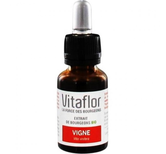 Vitaflor органический экстракт почек винограда 15 мл